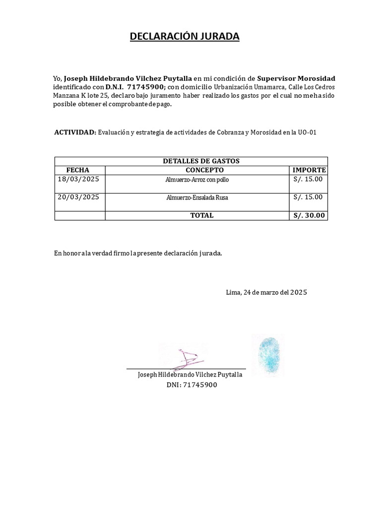 Declaración Jurada de Gastos 2025 | PDF