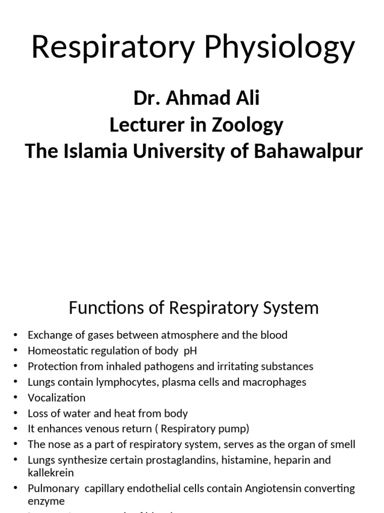 Overview of Respiratory Physiology | PDF | Respiratory Tract ...