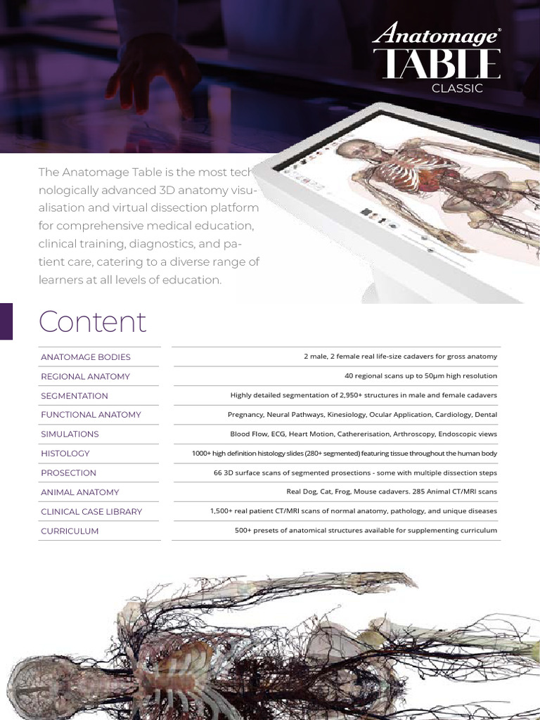 Advanced 3D Anatomy Visualization Tool | PDF | Ct Scan | Anatomy