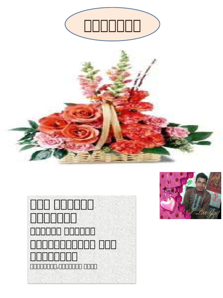 Computer 5 0 | PDF