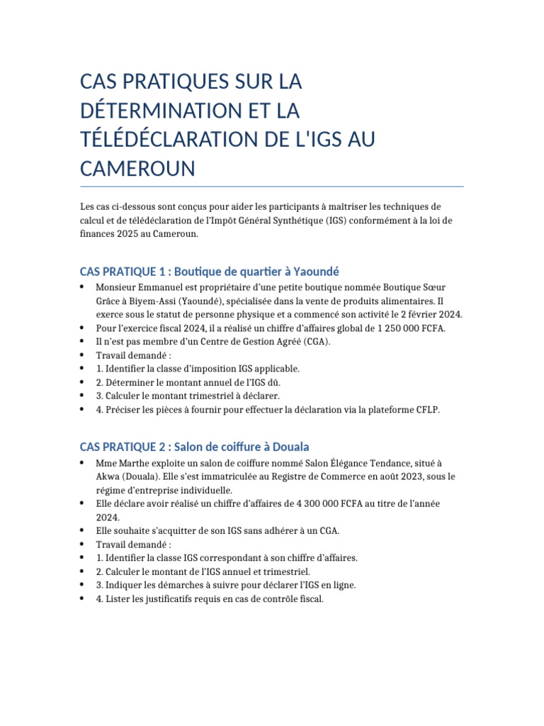 cas-pratiques-igs-cameroun-2025-pdf-business
