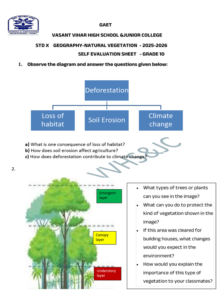 Grade 10 Geography: Natural Vegetation | PDF | Forests | Trees