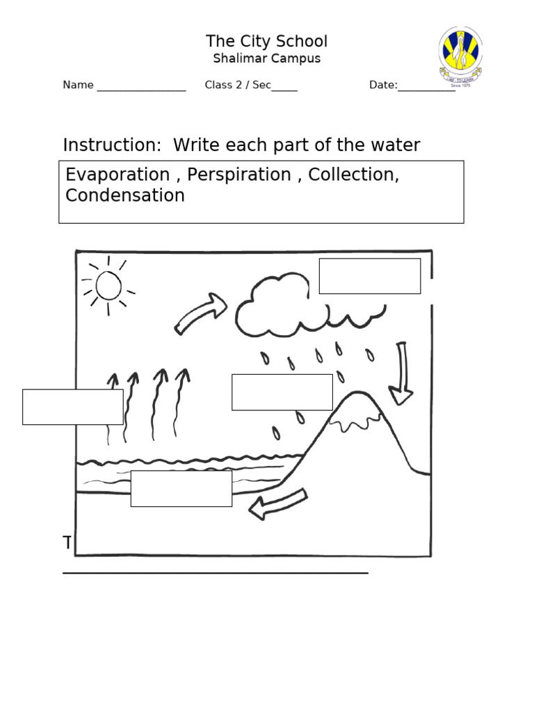 Water Cycle Parts for Class 2 | PDF