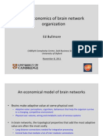 The Economics of Brain Network