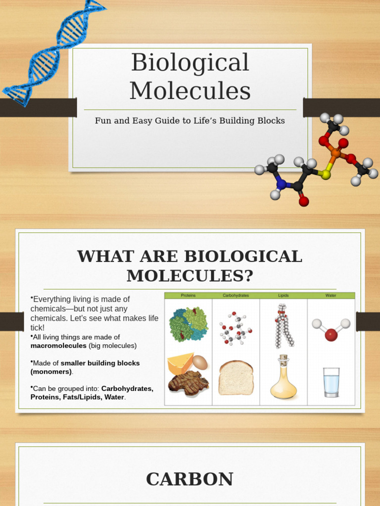Biological Molecules | PDF | Lipid | Glucose