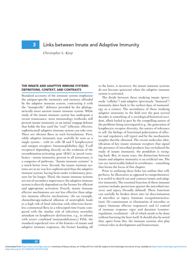 Links Between Innate and Adaptive Immunity | PDF | Immune System ...