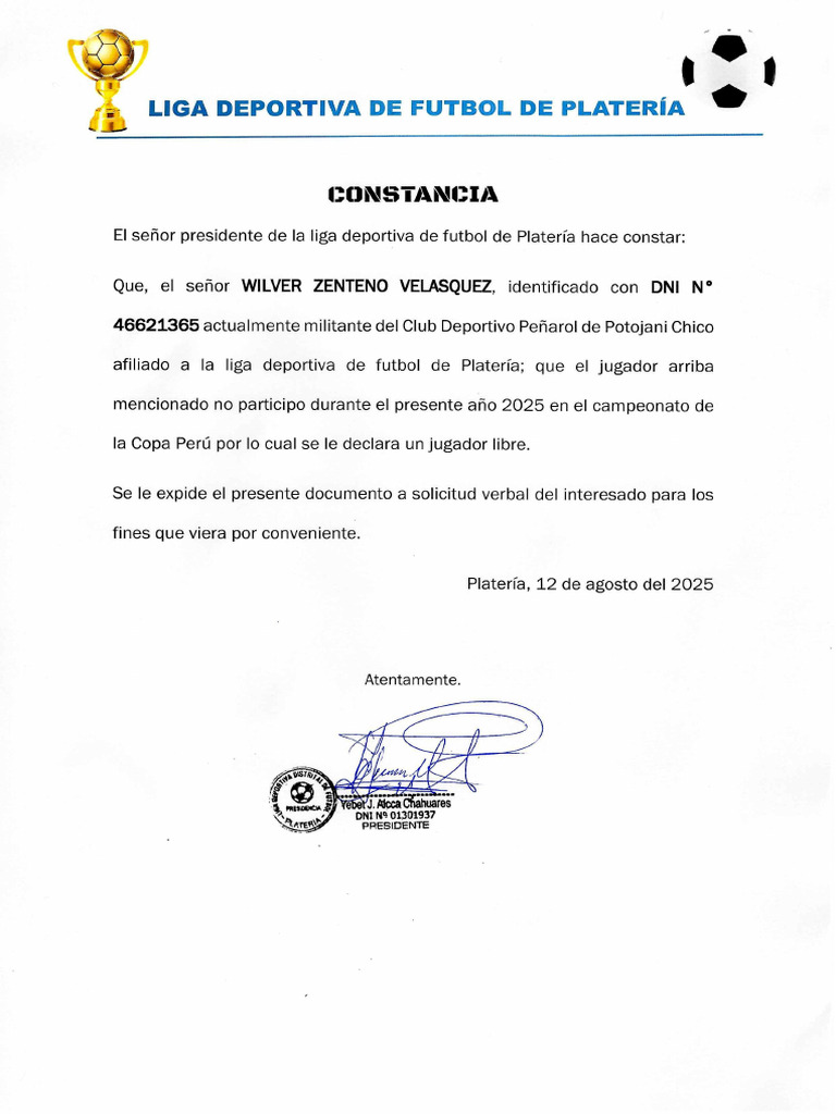 Constancia | PDF