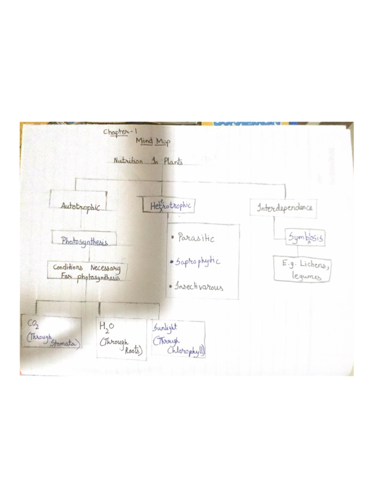 Science Chapter 1 | PDF