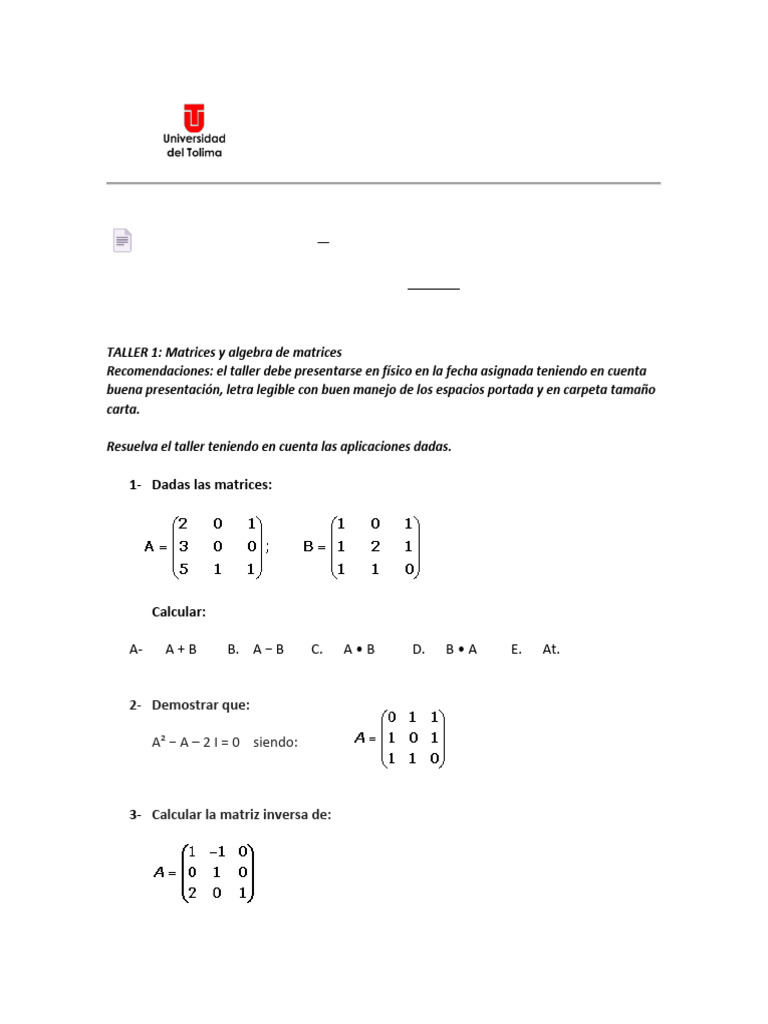 Taller Matrices y Algebra de Matrices 1 | PDF