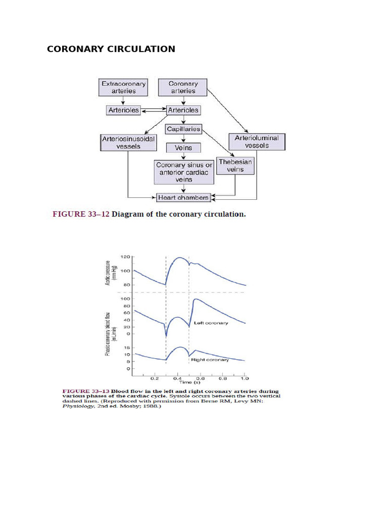Key Features of Coronary Circulation | PDF