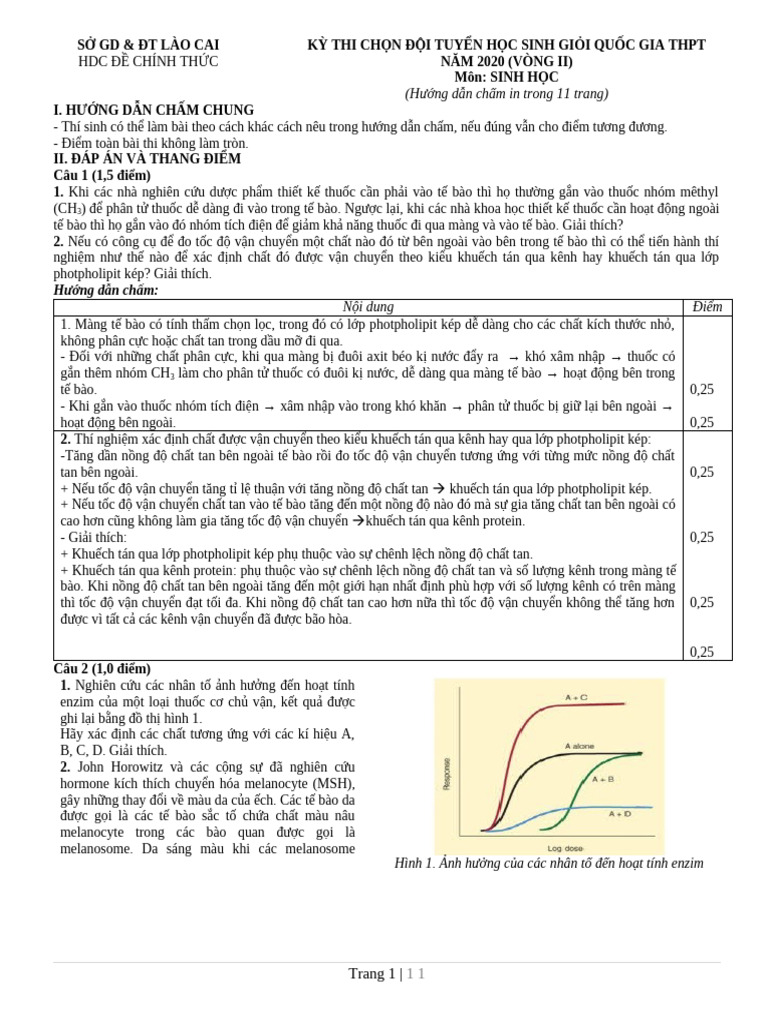 HDC de 1 | PDF