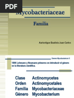 Download Mycobacterium  by Adelheint Bernstein SN90676906 doc pdf