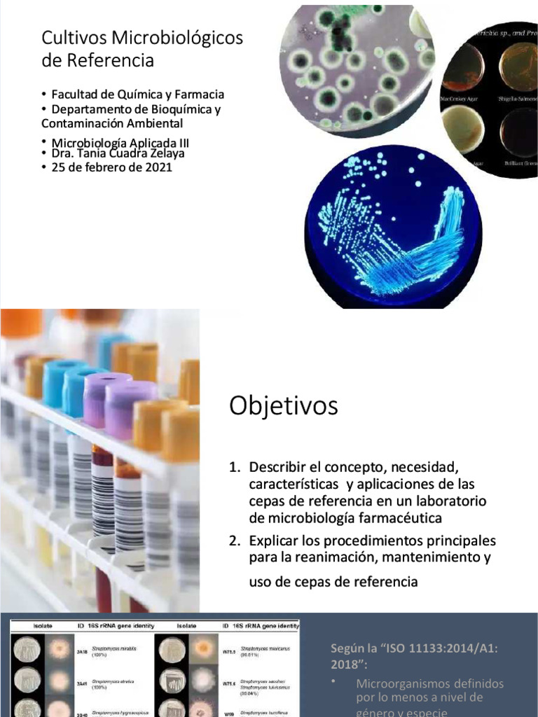 Cultivos Microbiológicos de Referencia | PDF | Microbiología ...