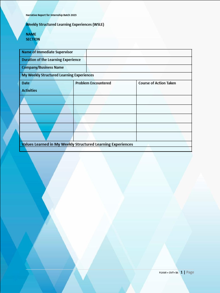 Weekly Report | PDF