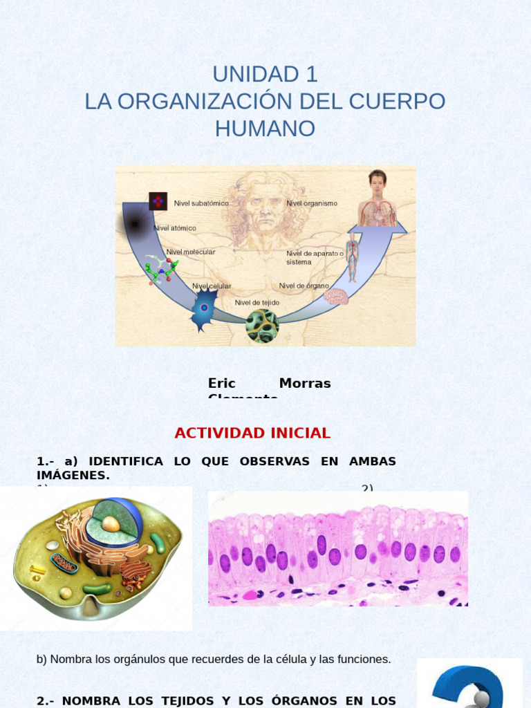 Composición Del Cuerpo Humano | PDF | Biología Celular) | Citoplasma