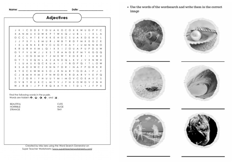 Word Search Puzzle Instructions | PDF