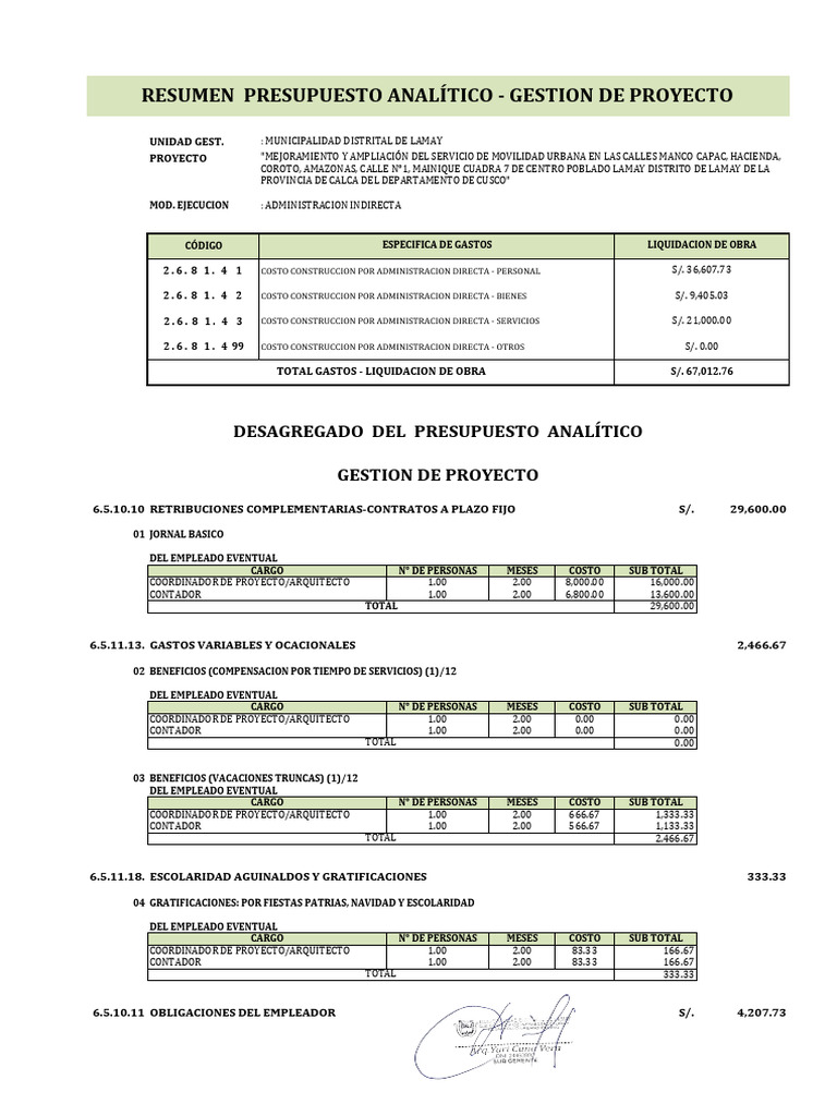 Presupuesto Analítico Gestion de Proyecto | PDF | Sustancias químicas ...