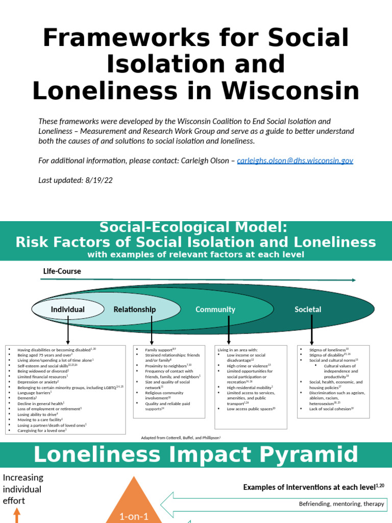 Frameworks for Addressing Loneliness in WI | PDF | Loneliness | Disability