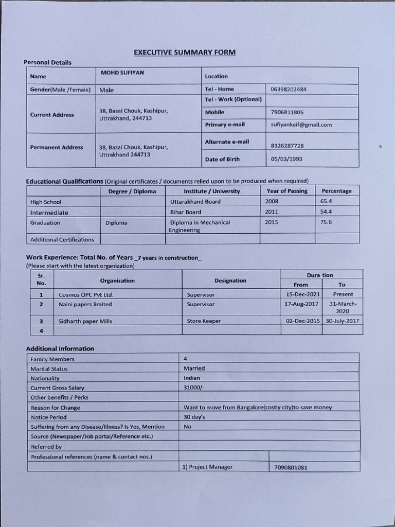 Executive Summary Form Pdf