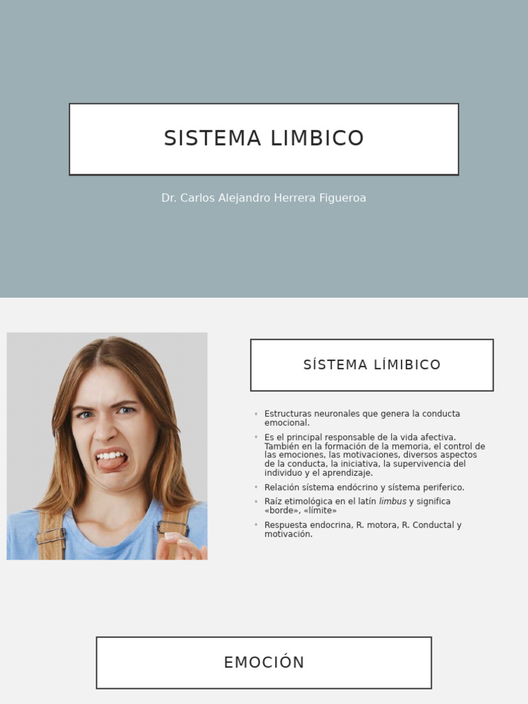 Funciones y Estructura del Sistema Límbico | PDF | Sistema límbico ...
