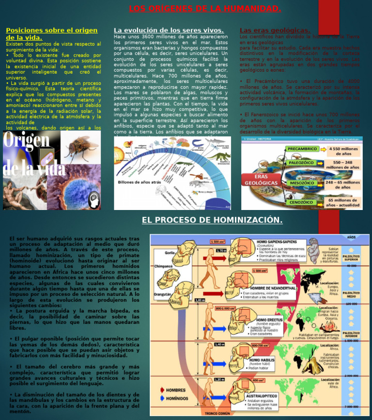 Orígenes de la Vida y la Humanidad | PDF | Evolución humana | Evolución