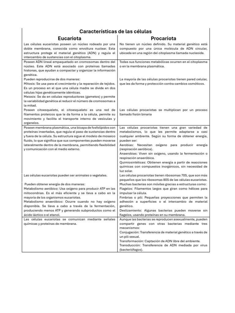 Comparativa de Células Eucariotas y Procariotas | PDF | Biología ...