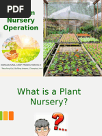 Nursery Layout Design Guide | PDF | Plant Nursery | Horticulture
