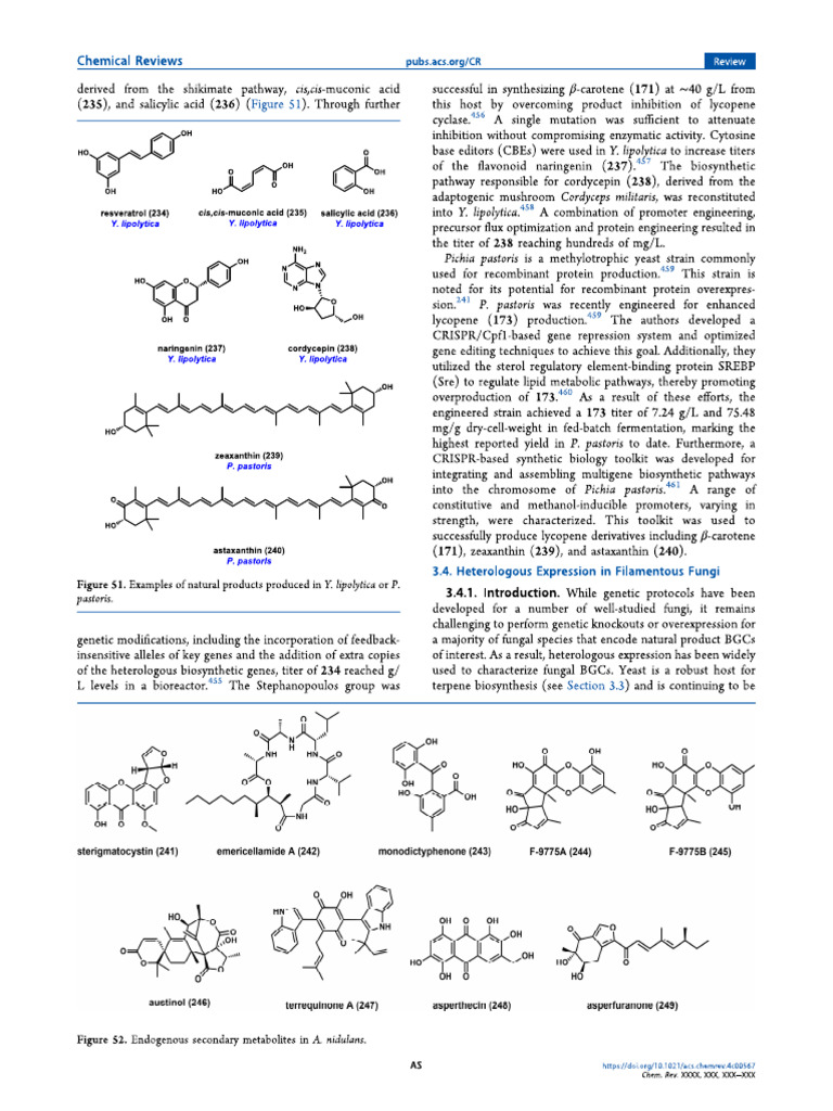 Heterologous Expression in Filamentous Fungi | PDF