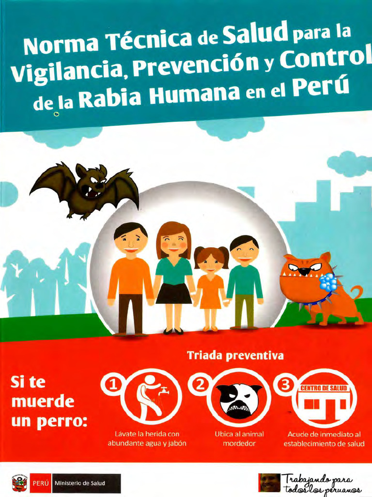 Norma Tecnica Prevencion de Rabia 2017 | PDF