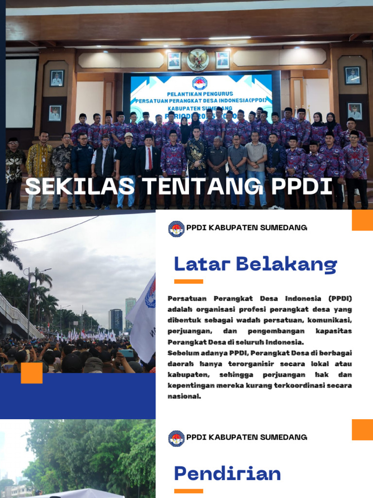 Mengenal PPDI: Organisasi Perangkat Desa | PDF