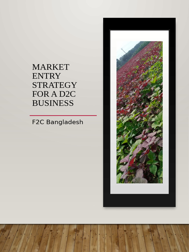 Market Entry Strategy For A d2c Business 1 | PDF