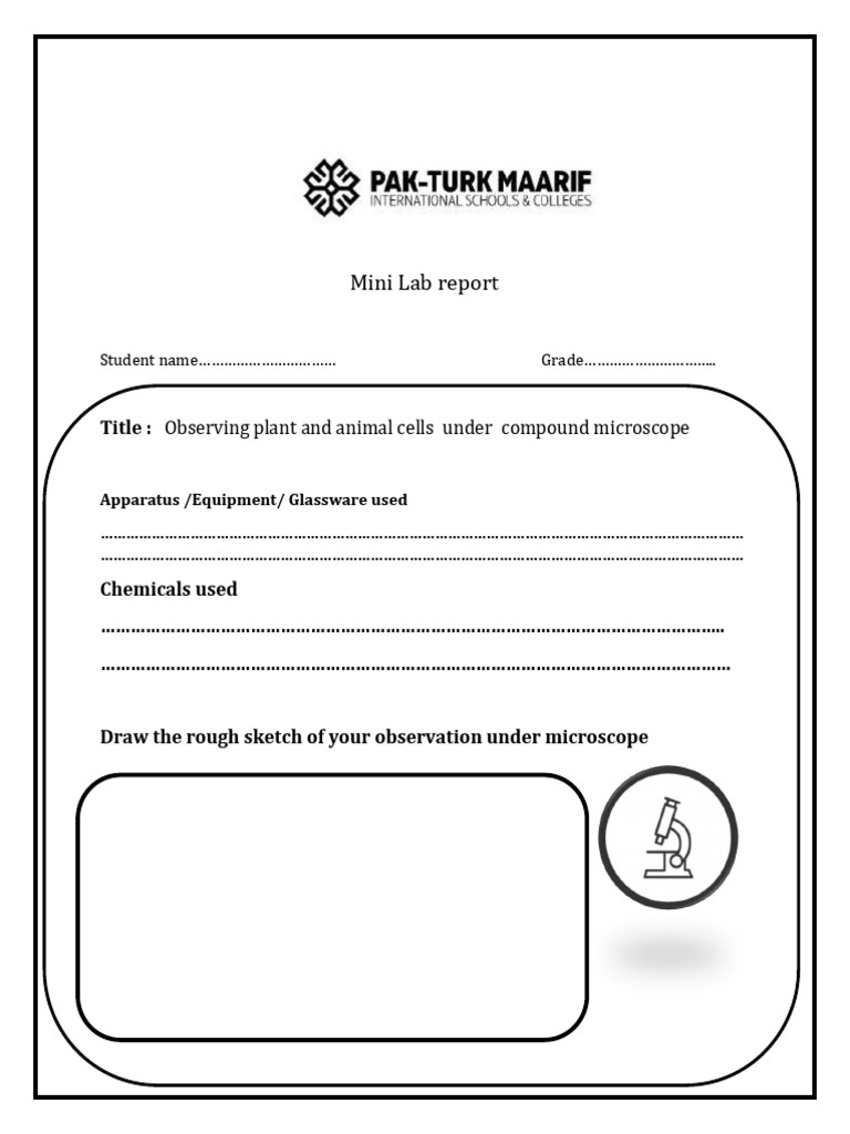 Mini Lab Report | PDF