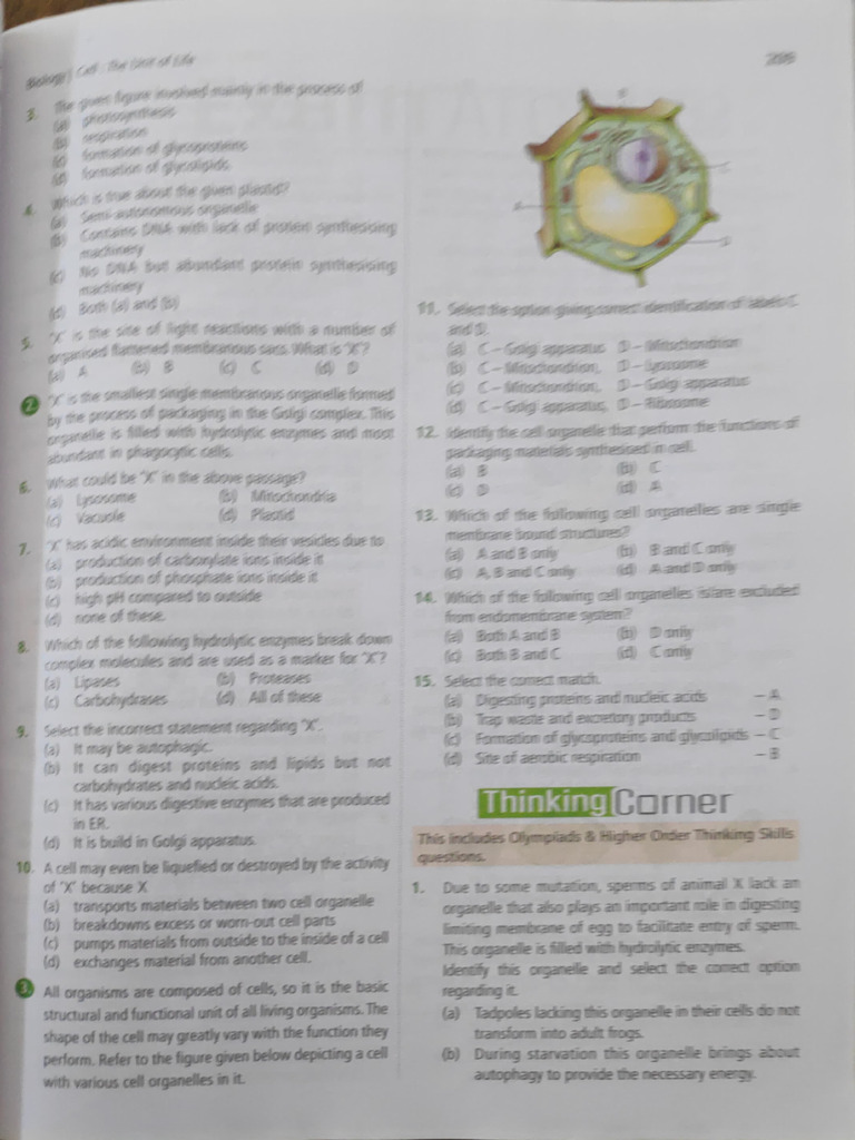 Cell Questions | PDF