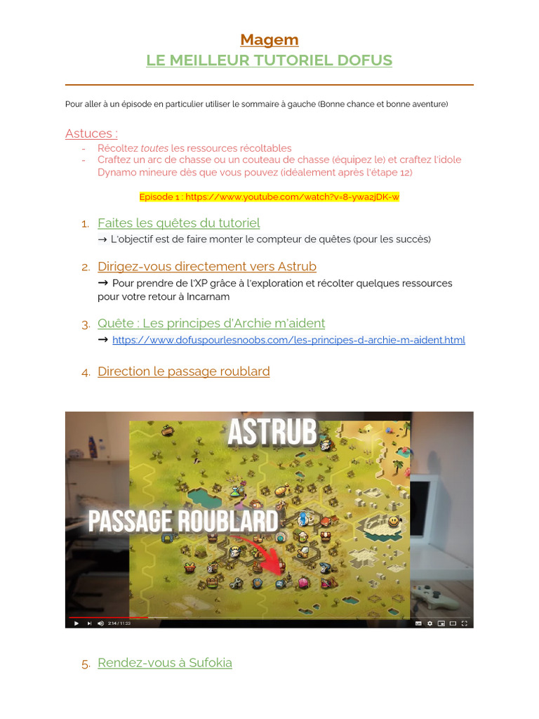 Guide Complet Magem pour Dofus | PDF