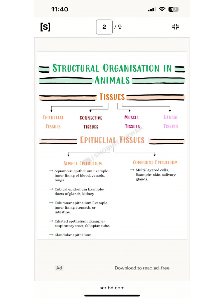 Biology Chapter 7 Notes | PDF