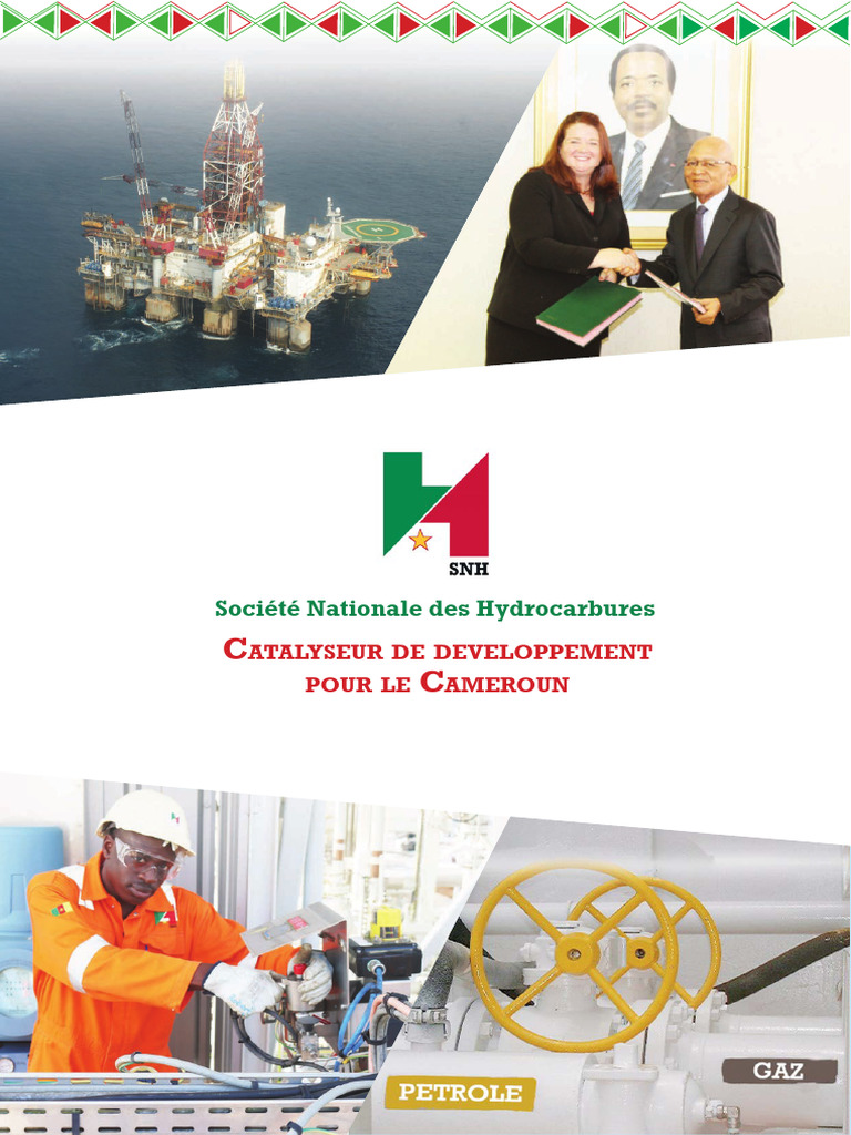 SNH : Leader des Hydrocarbures au Cameroun | PDF | Gaz naturel | Pétrole