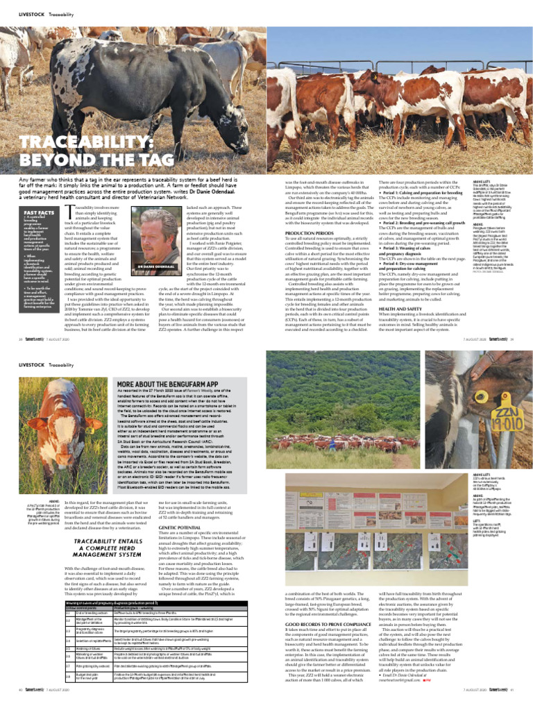 Comprehensive Beef Herd Management Guide | PDF | Cattle | Livestock