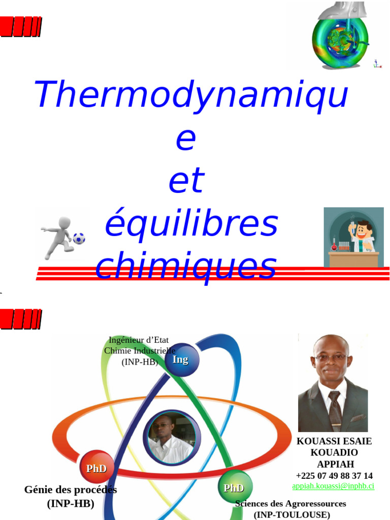 Équilibre Thermodynamique en Chimie | PDF | Thermodynamique | Entropie
