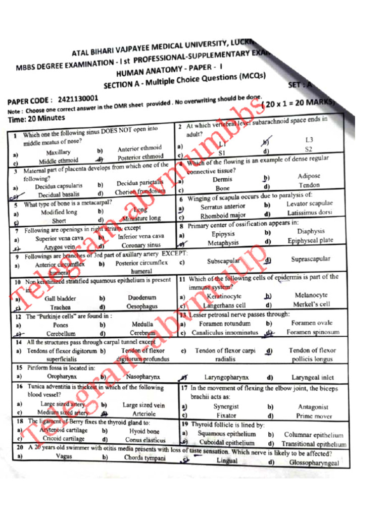 1st Proff Supply 2022 Batch | PDF