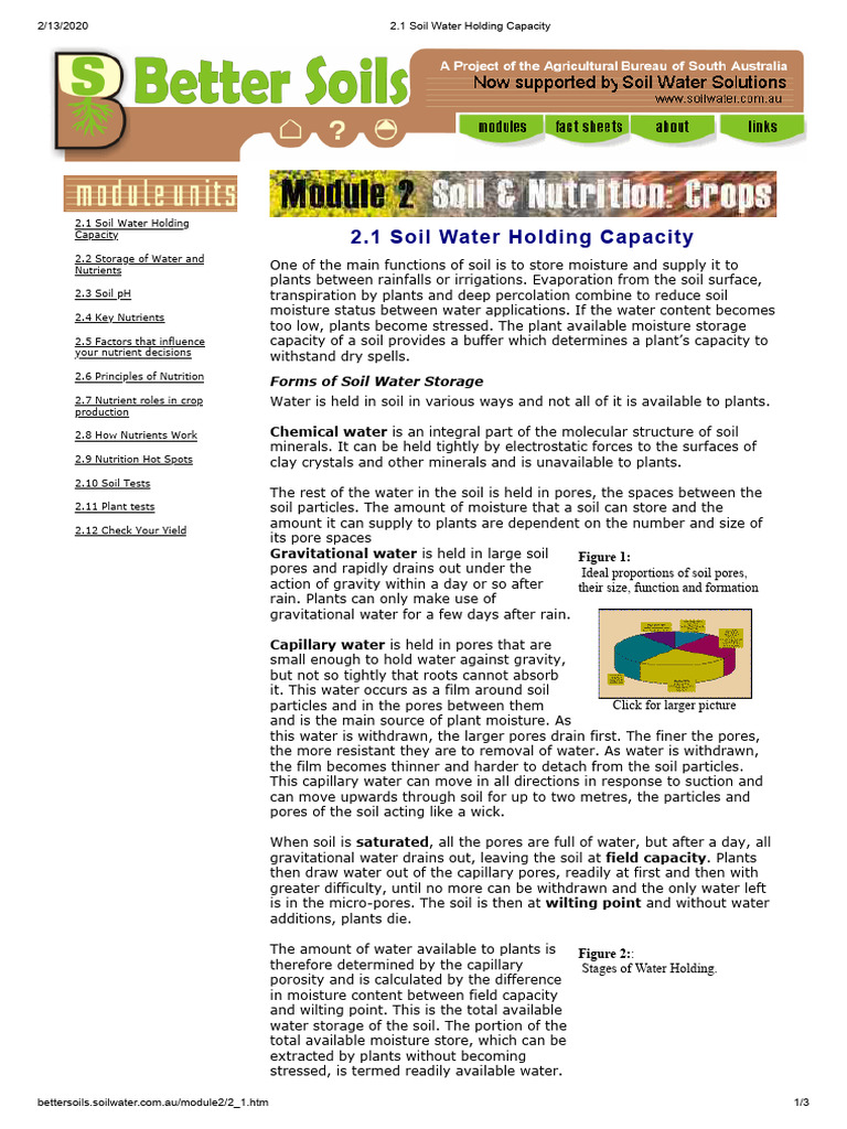 Soil Water Holding Capacity Explained | PDF | Soil | Porosity