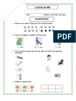 Diagnóstico 1° a 5°