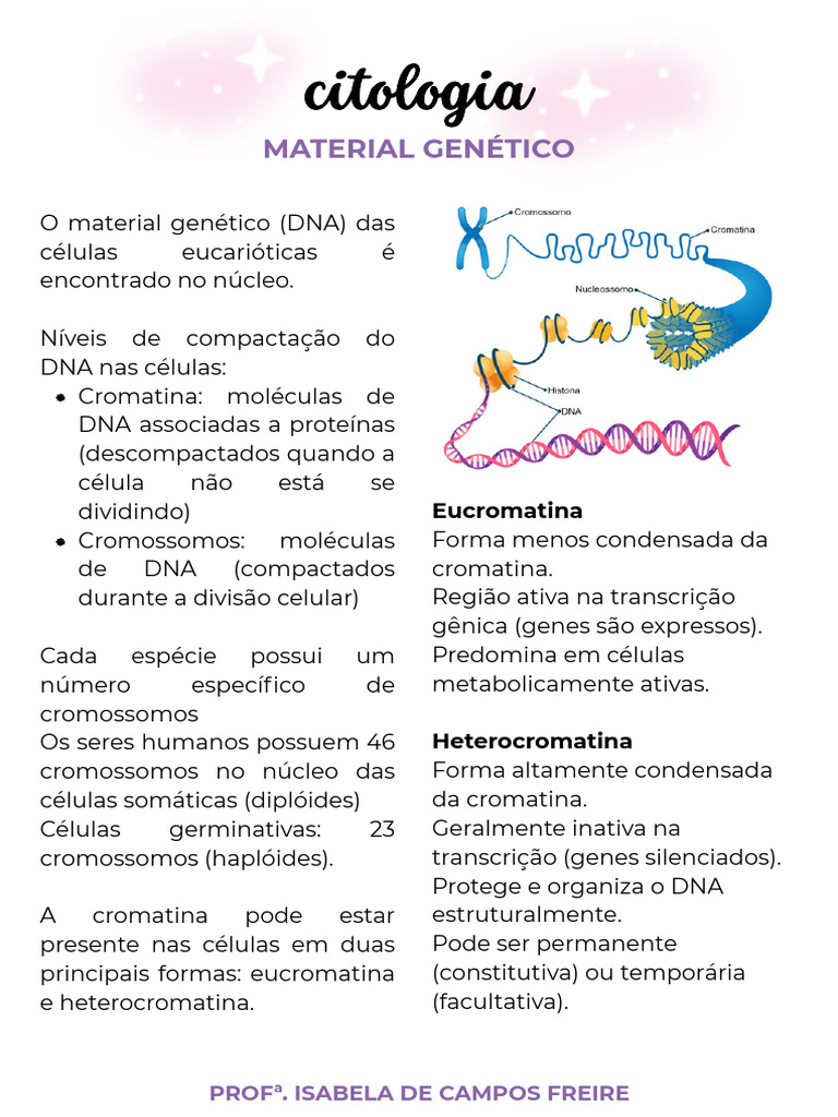 2 - Material Genético | PDF