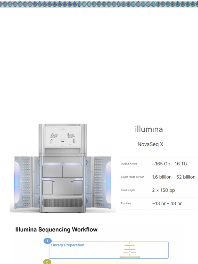 Illumina Sequencing Workflow Explained | PDF