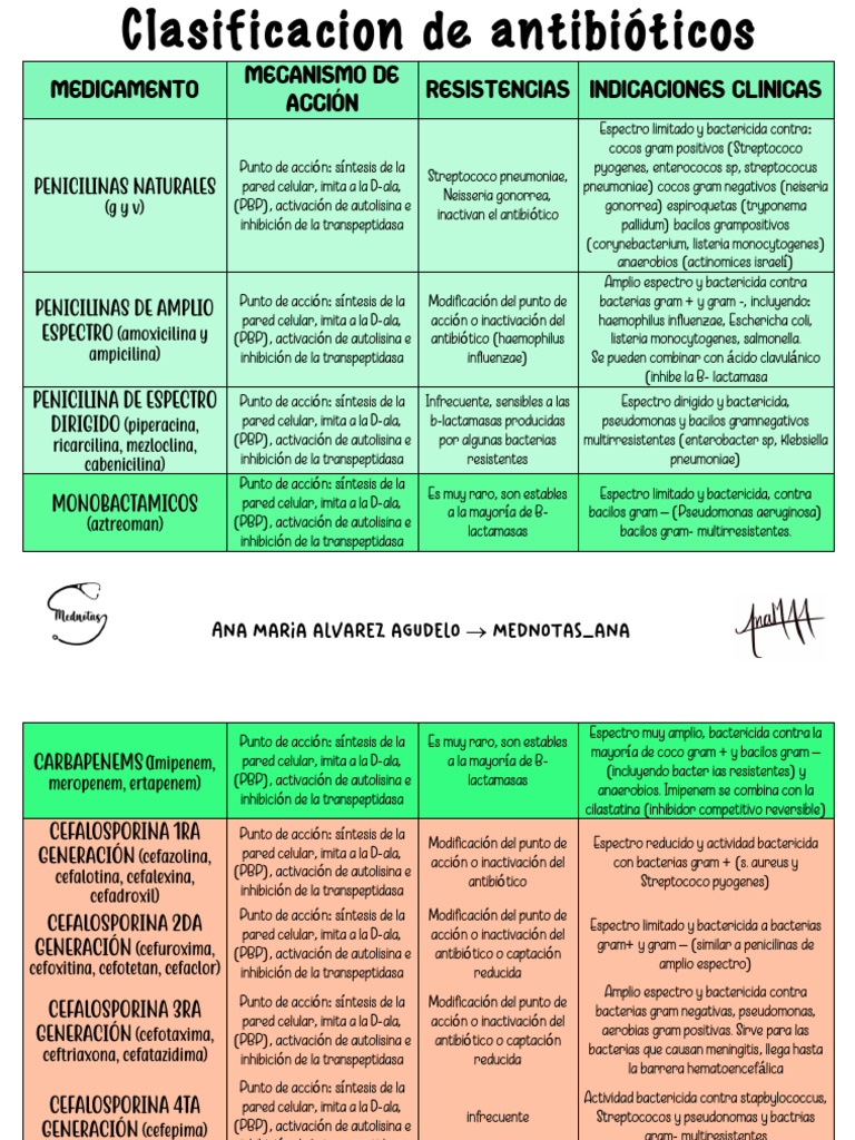 Clasificación de Antibióticos y Espectros | PDF | Bacterias Gram