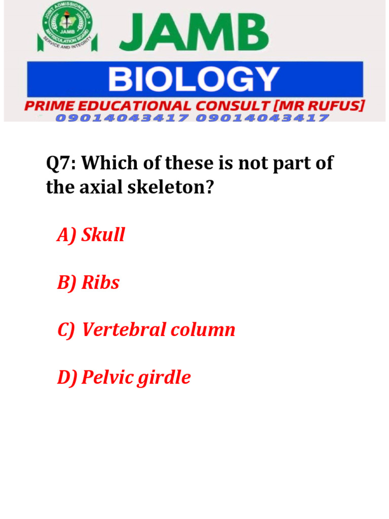 Axial Skeleton Quiz Question | PDF