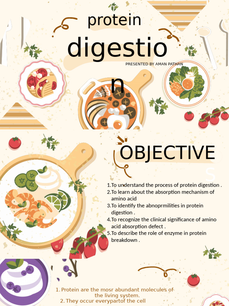 Protein Digestion and Absorption Explained | PDF | Digestion | Small ...