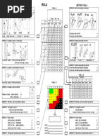 Método Rula: Avaliação Postural Detalhada | PDF