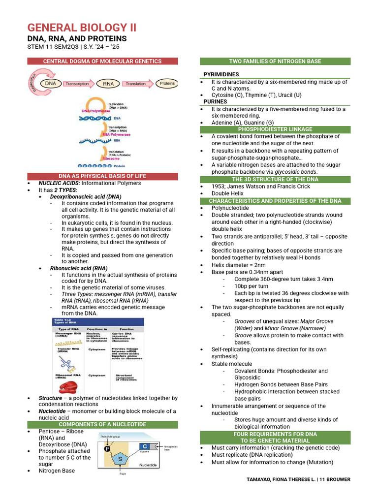 DNA, RNA, and Protein Synthesis Overview | PDF | Dna | Rna