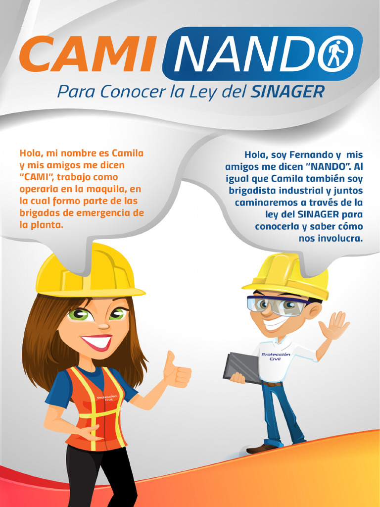 Ley SINAGER: Prevención y Protección | PDF | Riesgo