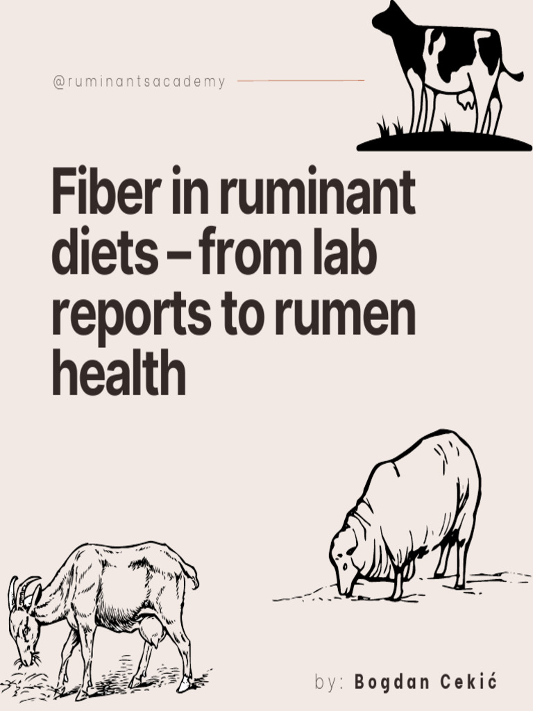 Ruminant Fiber: NDF, ADF, and Health | PDF